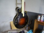 Verniciatura mandolino